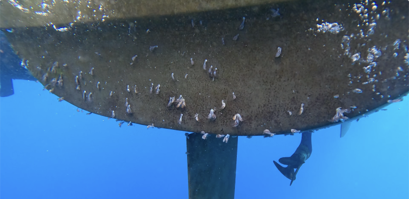 Screenshot 2025-08-08 at 12.11.46